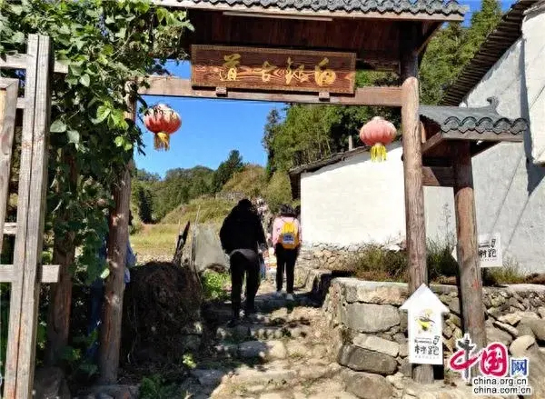 福建周宁“云端之城 、醉美山城”邀你去做客品茶